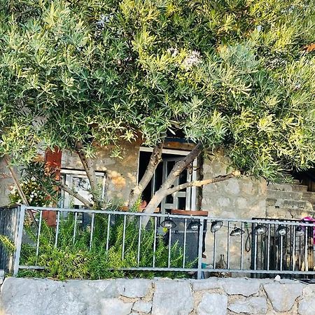 הוילה סטיניצה Kuca Za Odmor “Dida” מראה חיצוני תמונה