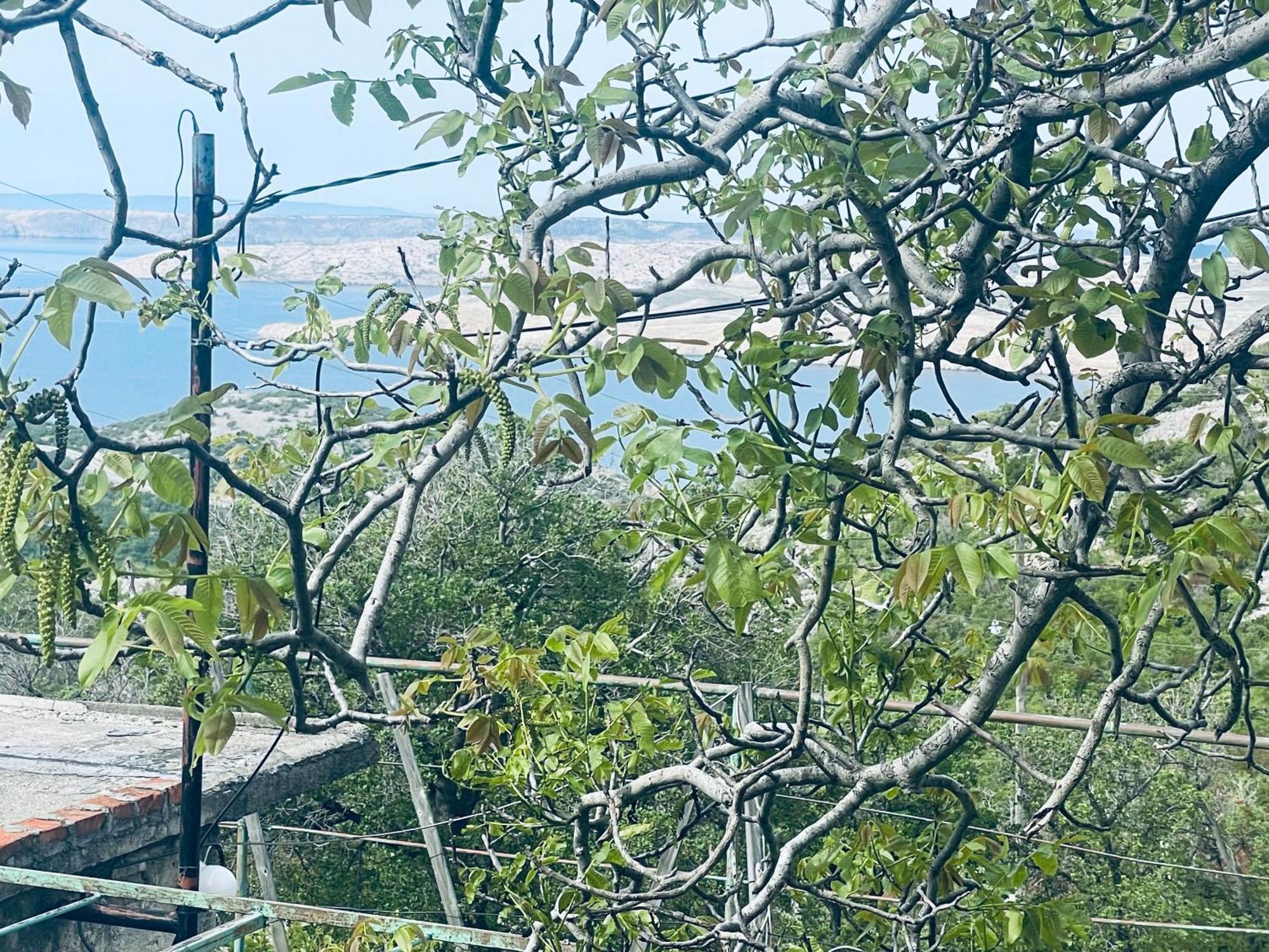 הוילה סטיניצה Kuca Za Odmor “Dida” מראה חיצוני תמונה